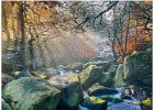 Alan Phillips_Autumn Light, Padley Gorge.jpg
